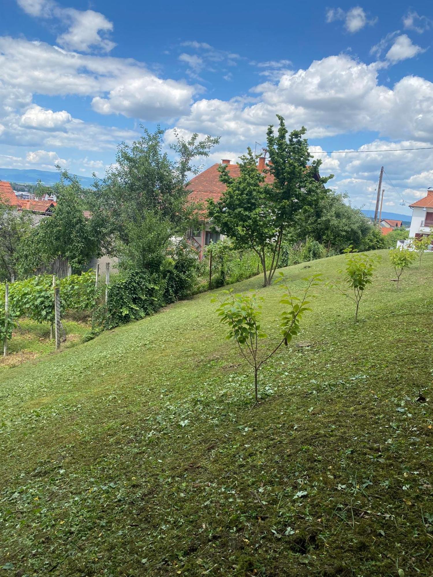 Guest House Grgin Dol Пожега Екстериор снимка